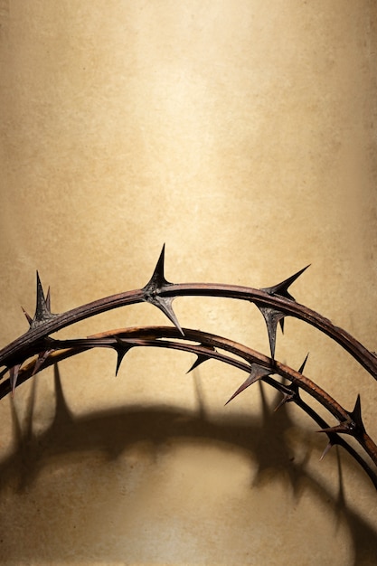 Flat lay crown of thorns with copy space