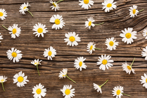 Free photo flat lay daisies arrangement on wood