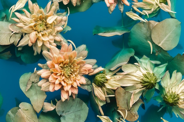青い水で繊細な花を置くフラット