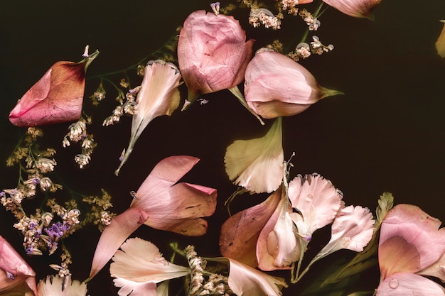 Free photo flat lay delicate pink flowers in black water