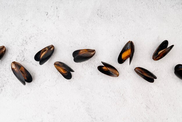 Flat lay of delicious boiled mussels