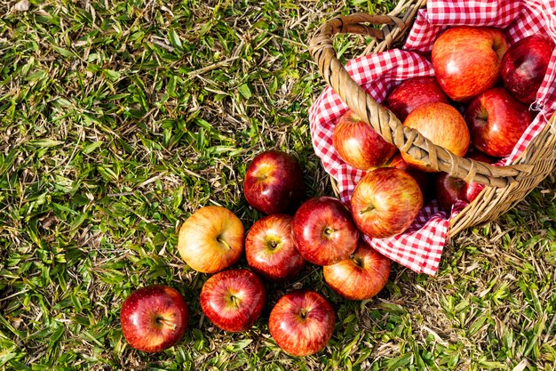 Flat lay delicious red apples in straw basket