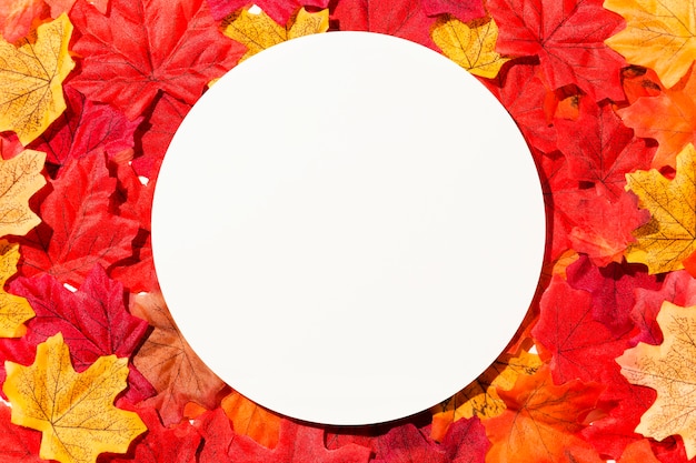 Free photo flat lay of different autumn leaves with copy space