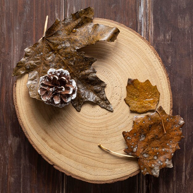 Flat lay dry leaves