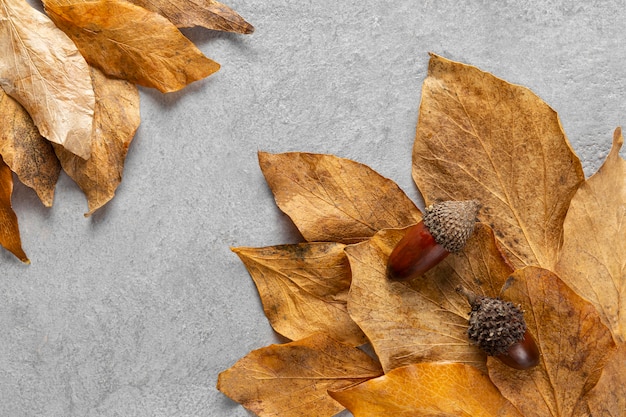 Flat lay dry leaves