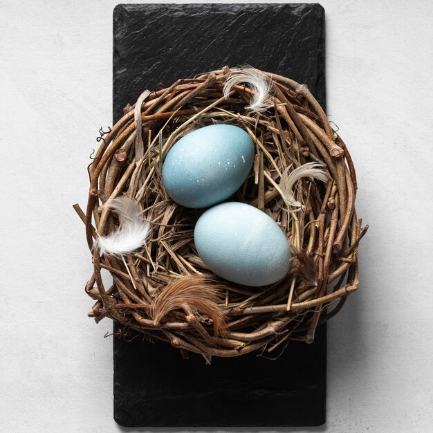 Flat lay of easter eggs in bird nest on slate