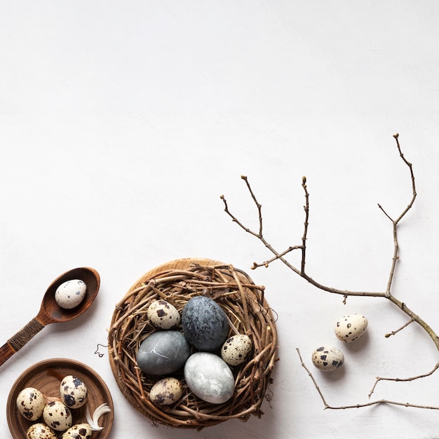 Flat lay of easter eggs in bird nest with copy space and twig