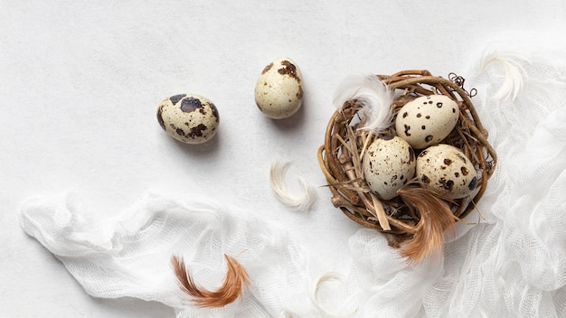 Flat lay of easter eggs in bird nest with feathers