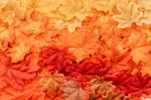 Free photo flat lay of fall leaves surface