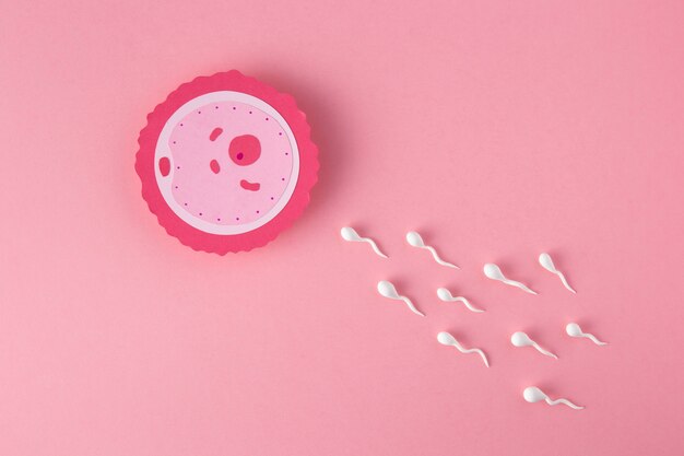 Flat lay fertility concept with pink background