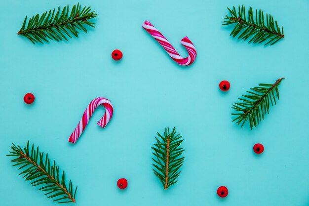 Flat lay of fir branches, candy canes and Christmas berries on a blue surface