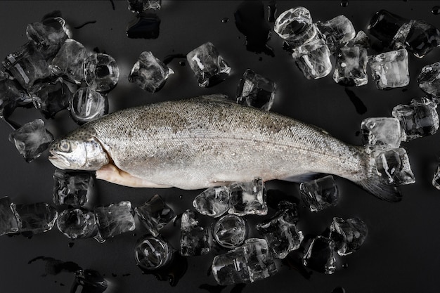 Free photo flat lay fish with ice cubes