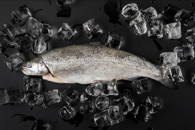 Flat lay fish with ice cubes