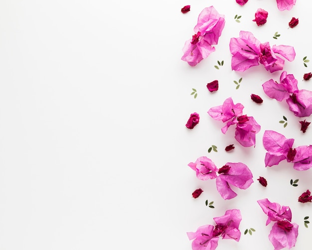 Free photo flat lay of floral concept with copy space