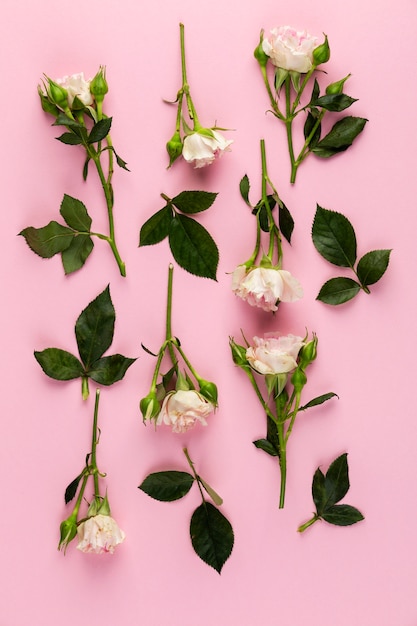 Flat lay flowers collection on table