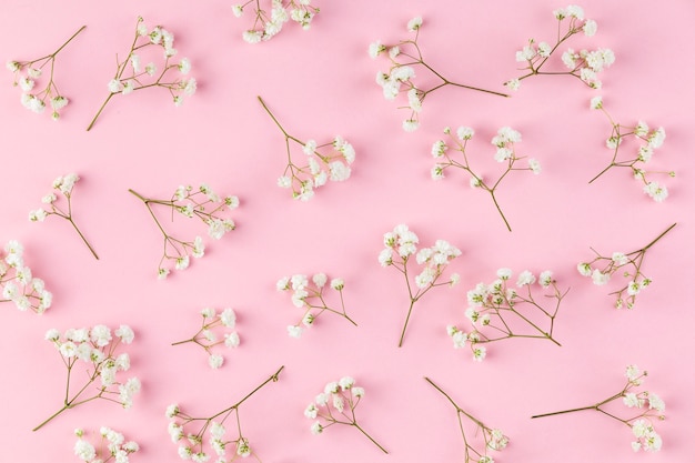 Flat lay flowers collection on table