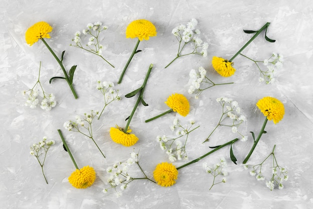 Raccolta di fiori piatti laici sul tavolo