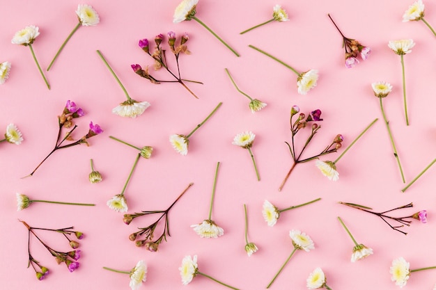 Free photo flat lay flowers collection on table