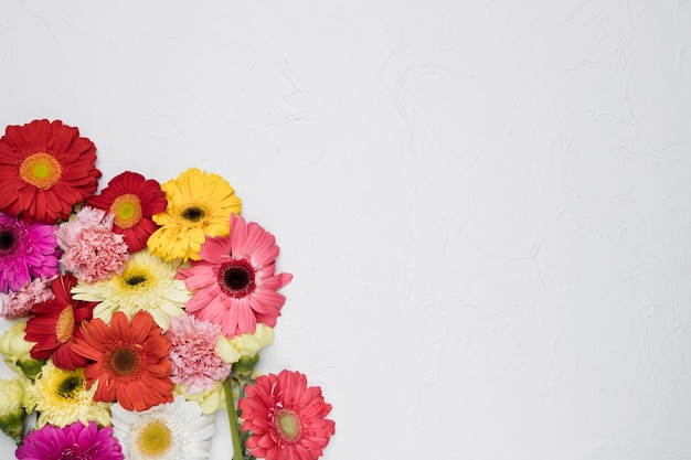 Free photo flat lay of flowers with copyspace