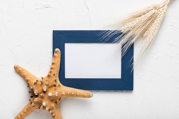 Free photo flat lay frame and starfish on table