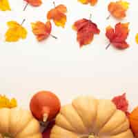 Free photo flat lay frame with big pumpkins and leaves