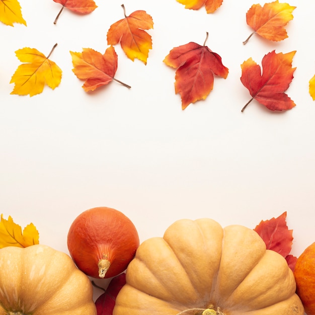 Flat lay frame with big pumpkins and leaves