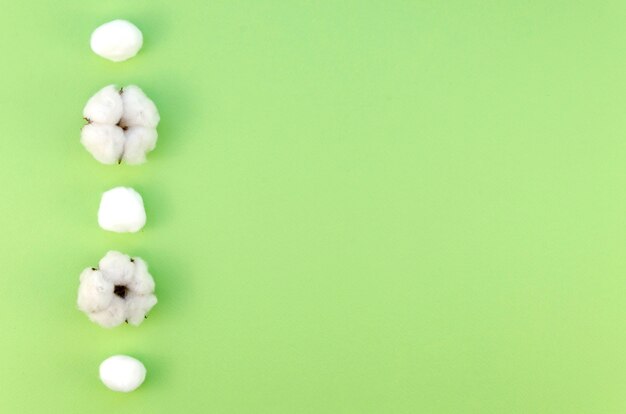 Flat lay frame with cotton flowers and green background