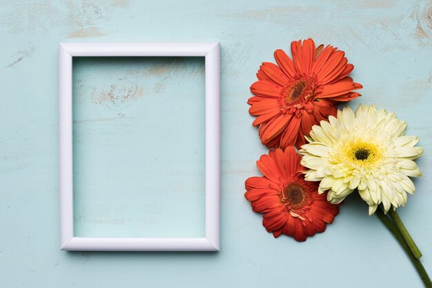 Flat lay of frame with floral concept