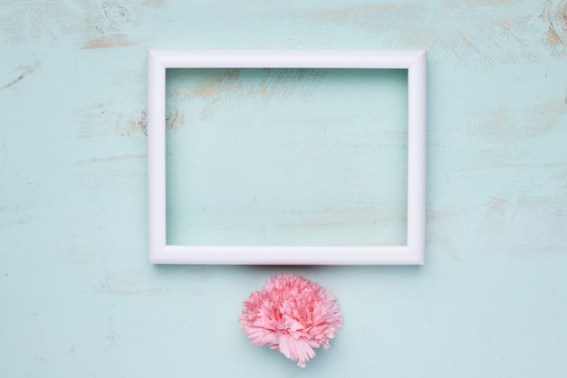 Flat lay of frame with floral concept