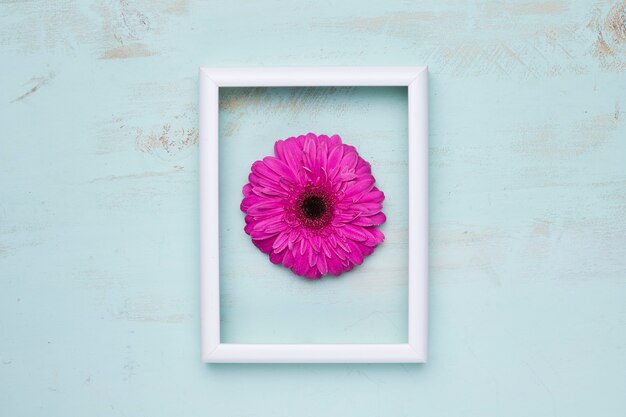 Flat lay of frame with floral concept