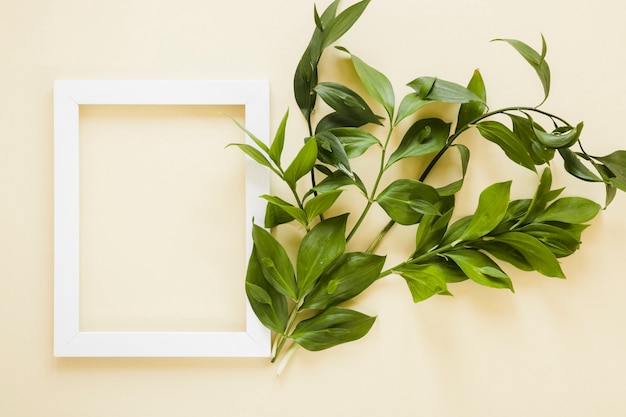 Flat lay of frame with leaves decoration