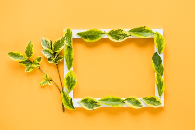 Free photo flat lay of frame with leaves decoration