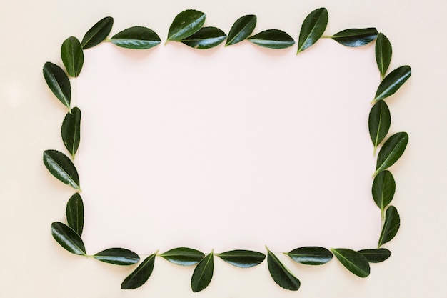 Free photo flat lay of frame with leaves decoration