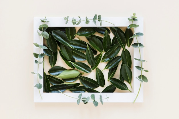 Flat lay of frame with leaves decoration