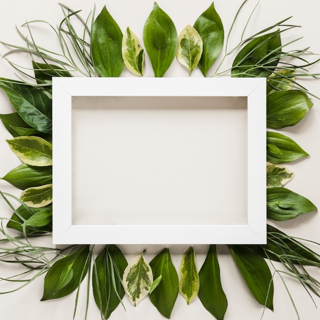 Flat lay of frame with leaves decoration