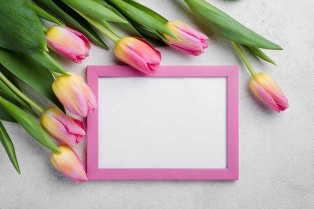 Free photo flat lay frame with pink tulips