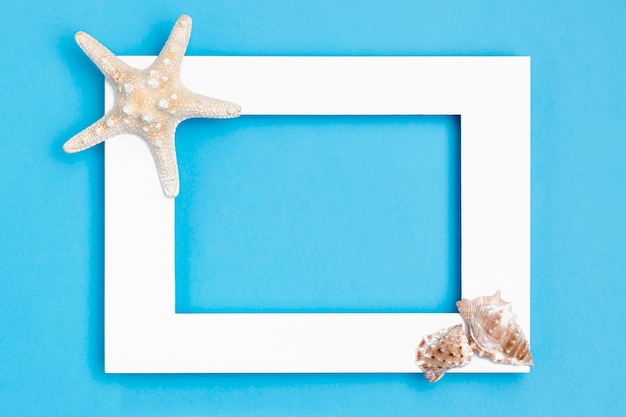 Flat lay of frame with starfish and sea shells