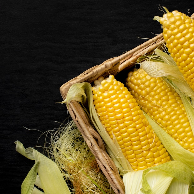 Flat lay fresh corn composition with copy space