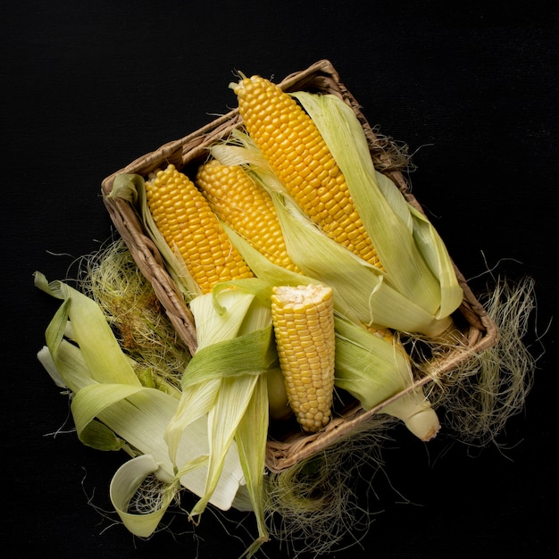 Flat lay fresh corn composition