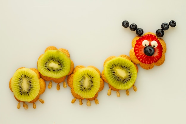 Free photo flat lay fruit animal on white background