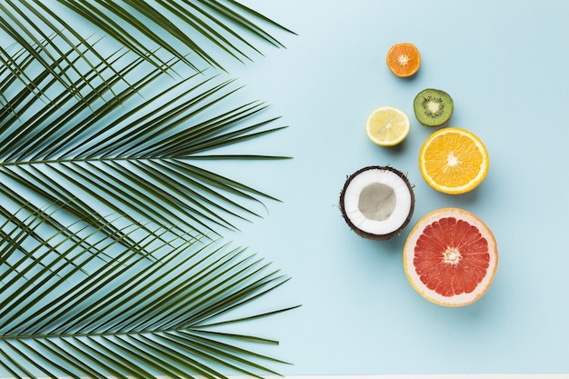 Flat lay of fruits concept with leaves