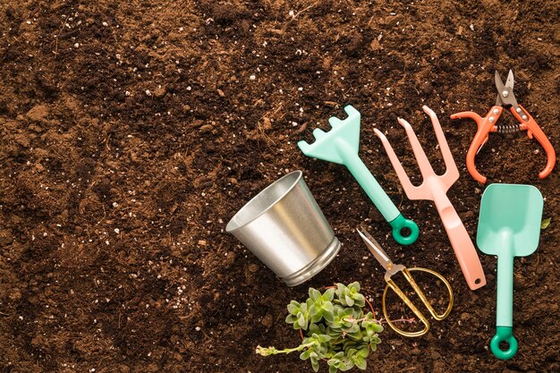 Flat lay of garden tools with copyspace