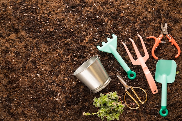 Flat lay of garden tools with copyspace