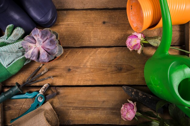 Flat lay gardening compositio