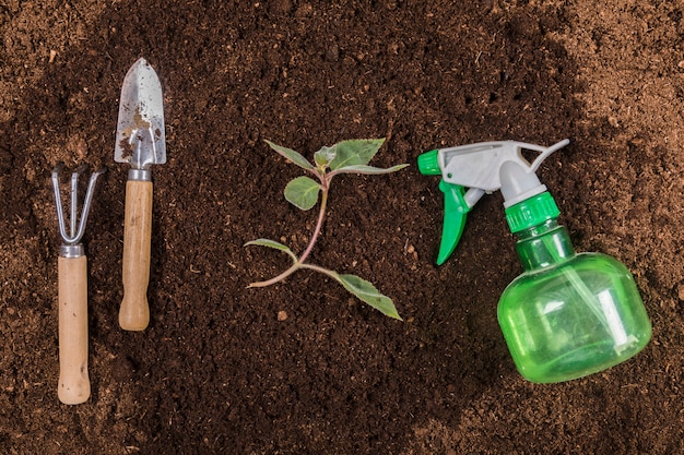 Foto gratuita compositio di giardinaggio piatto