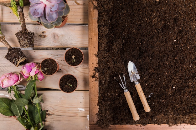 Flat lay gardening compositio