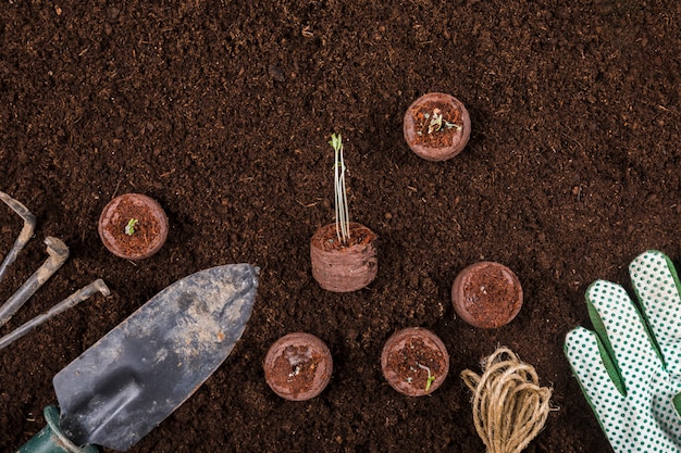 Free photo flat lay gardening compositio