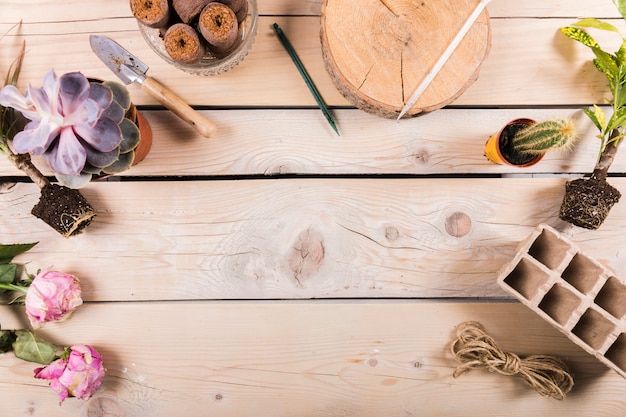 Flat lay gardening composition with copyspace