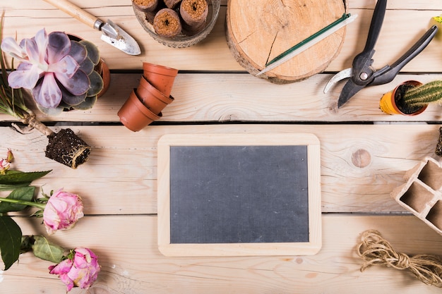 Flat lay gardening composition with slate template