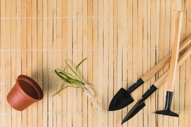 Flat lay gardening composition